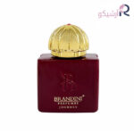 عطر جیبی برندینی آمواج جورنی وومن زنانه حجم 33 میلی لیتر